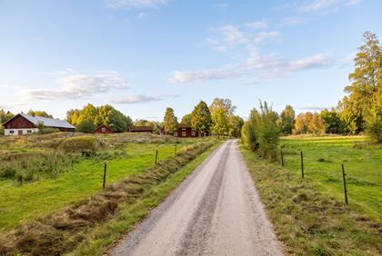 Bild av närområdet