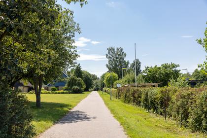 Bild av närområdet