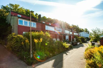 Bild av närområdet