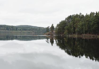 Bild av närområdet