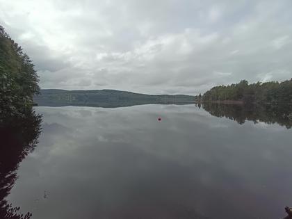 Bild av närområdet