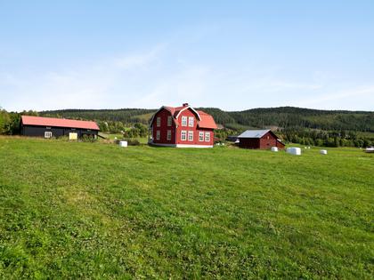 Bild av närområdet