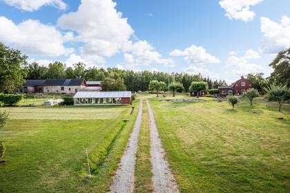 Bild av närområdet
