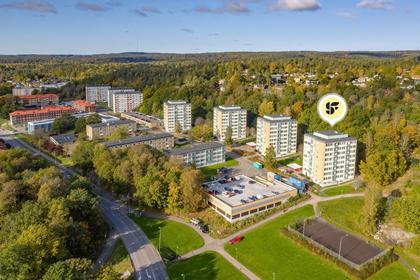Bild av närområdet