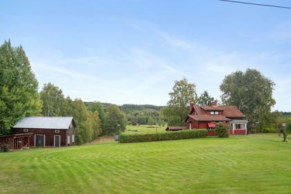 Bild av närområdet