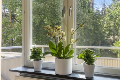 Interiörbild