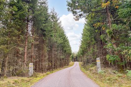 Bild av närområdet
