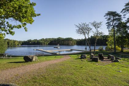 Bild av närområdet