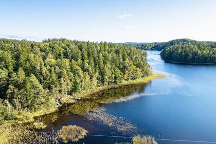 Bild av närområdet