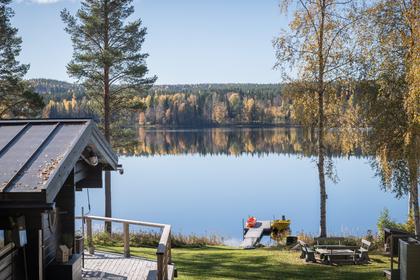 Bild av närområdet