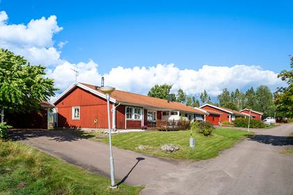 Bild av närområdet