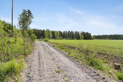 Bild av närområdet