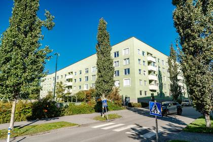 Bild av närområdet