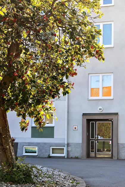 Exteriörbild