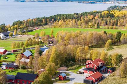 Bild av närområdet