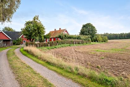 Bild av närområdet
