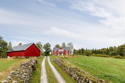 Bild av närområdet