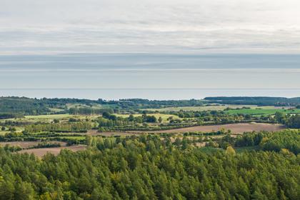 Bild av närområdet