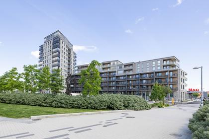Bild av närområdet