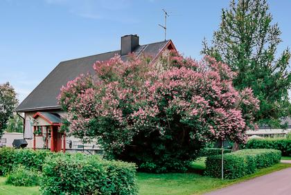 Exteriörbild