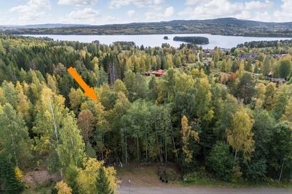 Bild av närområdet