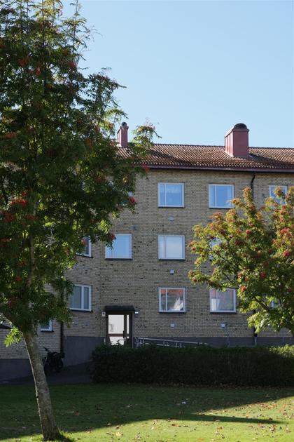 Exteriörbild