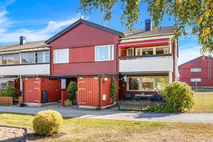 Bild av närområdet