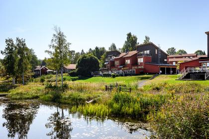 Bild av närområdet