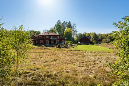 Bild av närområdet