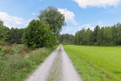 Bild av närområdet