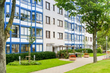 Bild av närområdet