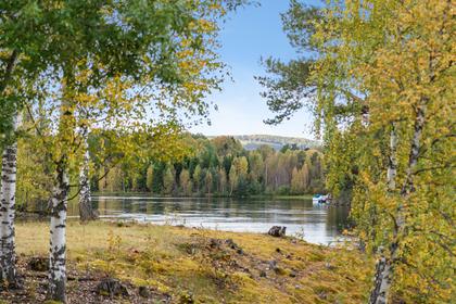 Bild av närområdet