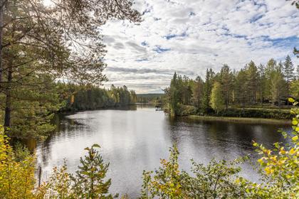 Bild av närområdet