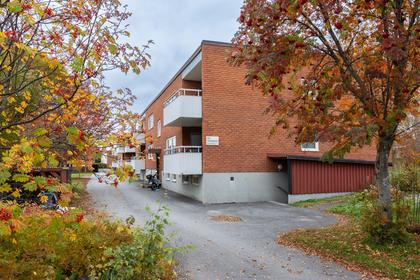 Exteriörbild