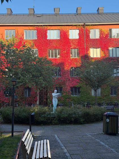 Exteriörbild