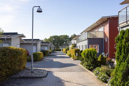 Bild av närområdet