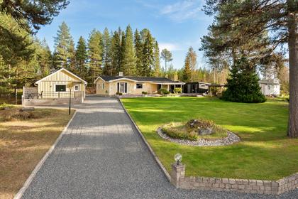 Bild av närområdet