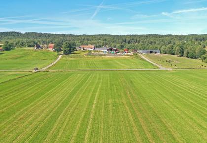 Bild av närområdet