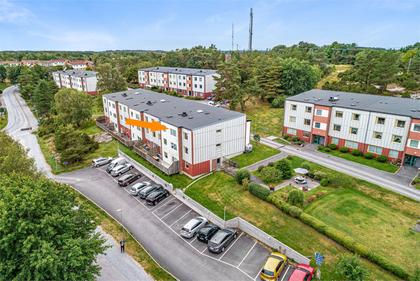 Bild av närområdet