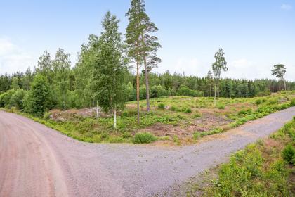 Bild av närområdet
