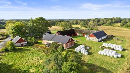 Bild av närområdet