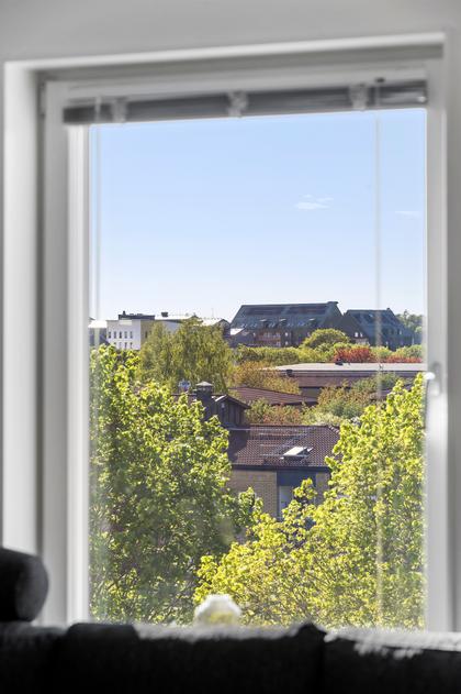 Kök eller matrum