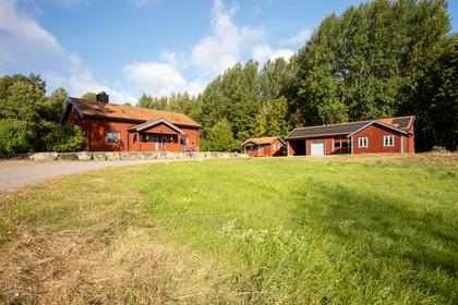 Bild av närområdet