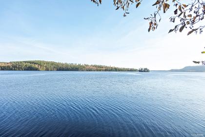Bild av närområdet