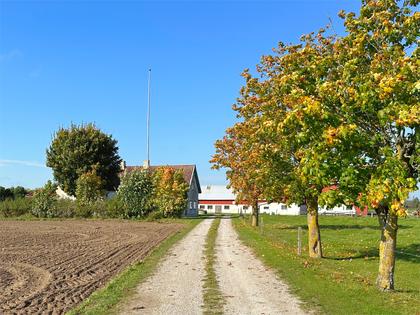 Bild av närområdet