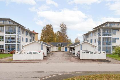 Bild av närområdet