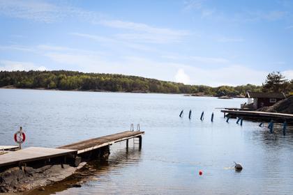 Bild av närområdet