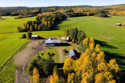 Bild av närområdet