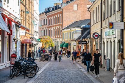 Bild av närområdet
