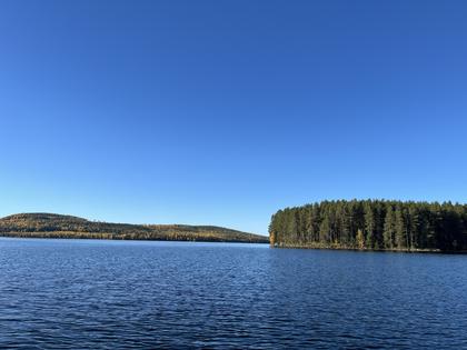 Bild av närområdet